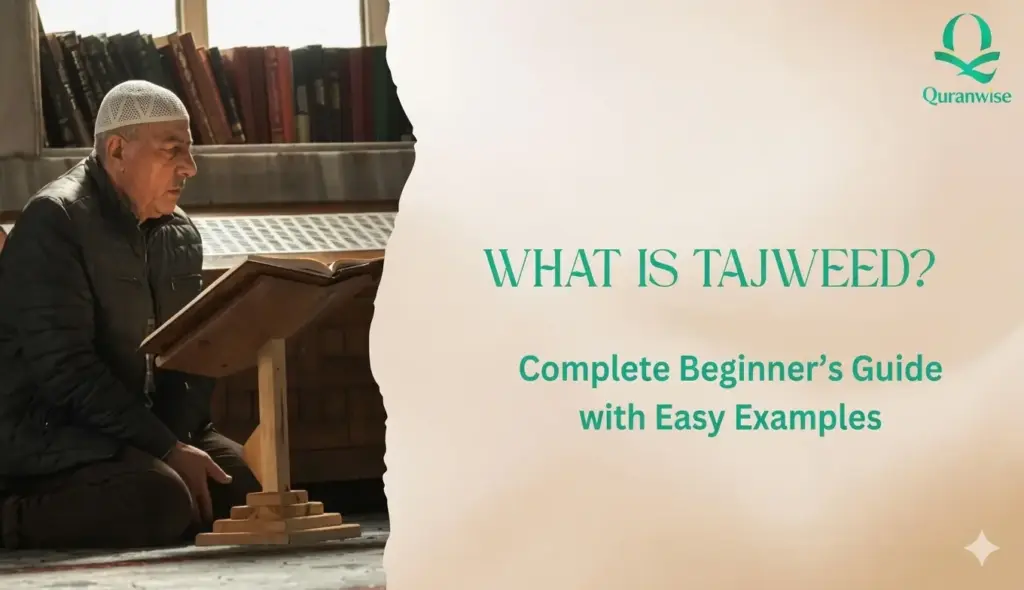 What Is Tajweed? Complete Beginner’s Guide with Easy Examples